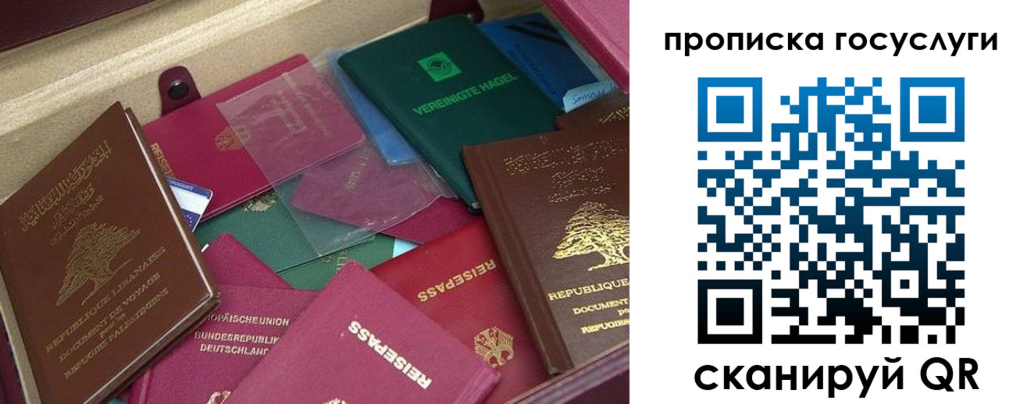 прописка гарантия в Майкопе